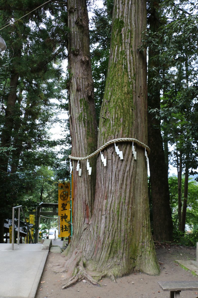 和銅採掘遺跡