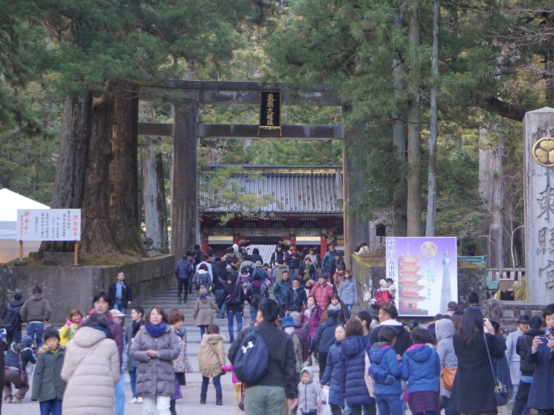 【申年開運スポット】徳川家康を祀って400年目の2016年は、日光東照宮参りが激アツ！！！