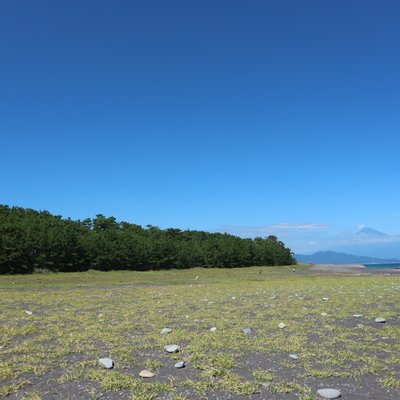 三保の松原