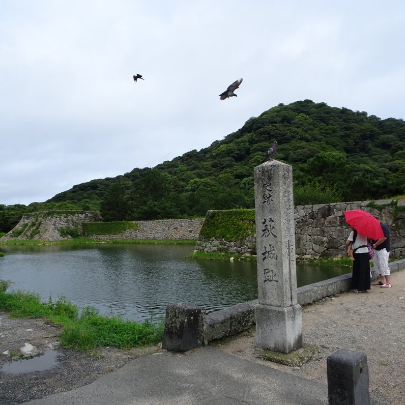 萩城跡指月公園