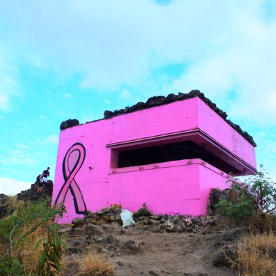 Pink Pillbox