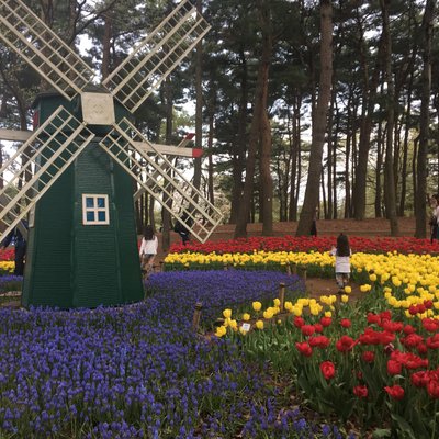 国営ひたち海浜公園