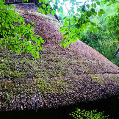 まだま村