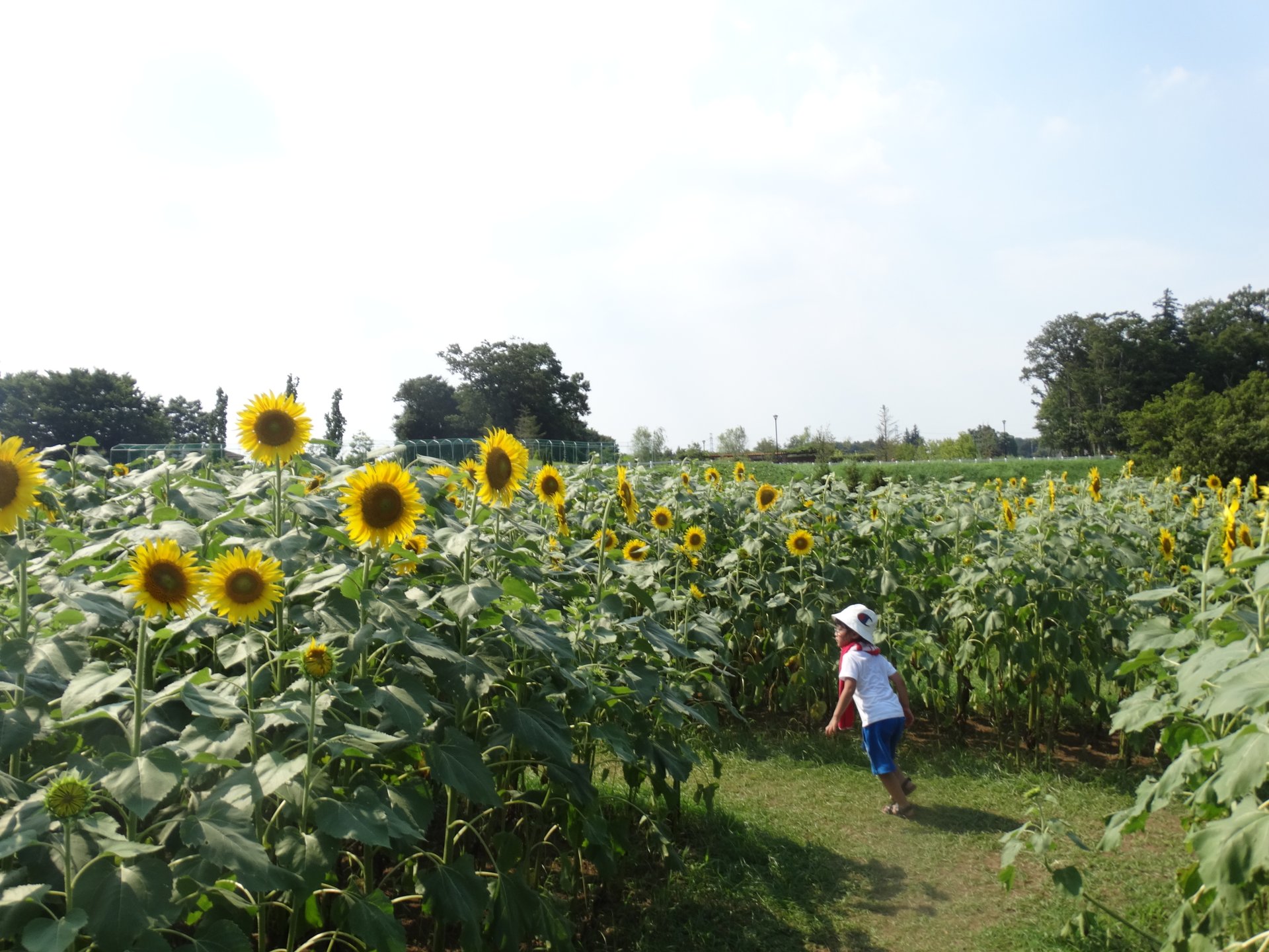 【船橋】1日遊べて大満足！大人気のアンデルセン公園へ行こう！