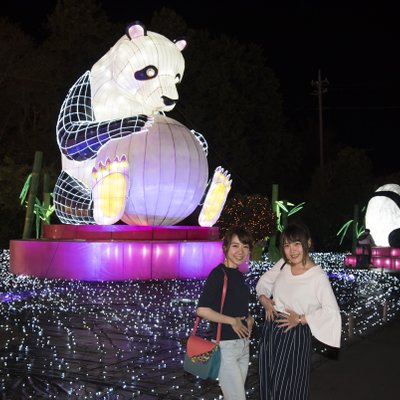 伊豆ぐらんぱる公園