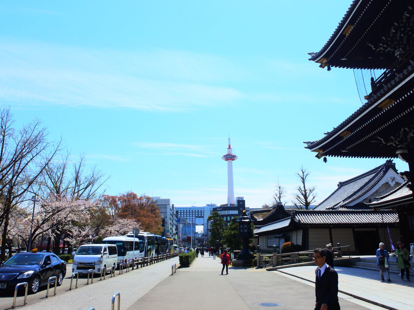 京都ランチにおすすめ 極厚ふわとろオムライスと京都駅から歩いて行ける人気の東本願寺でお花見しよう Playlife プレイライフ