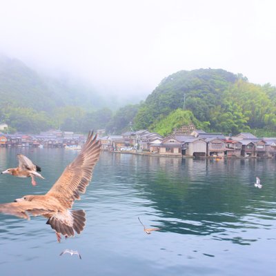 丹後海陸交通株式会社 伊根湾めぐり日出駅