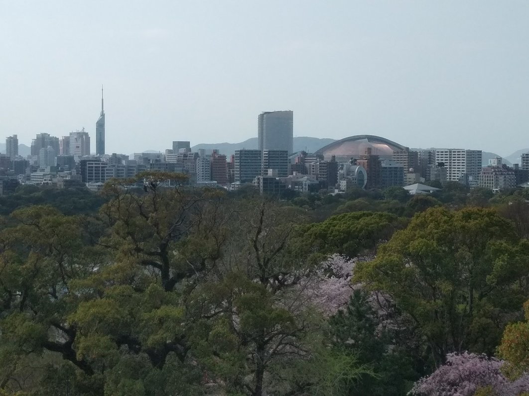 舞鶴公園