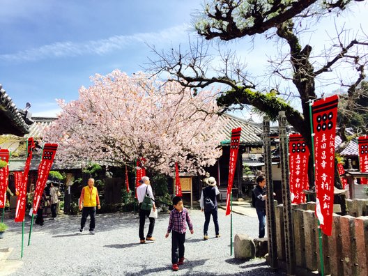 善名称院(真田庵)