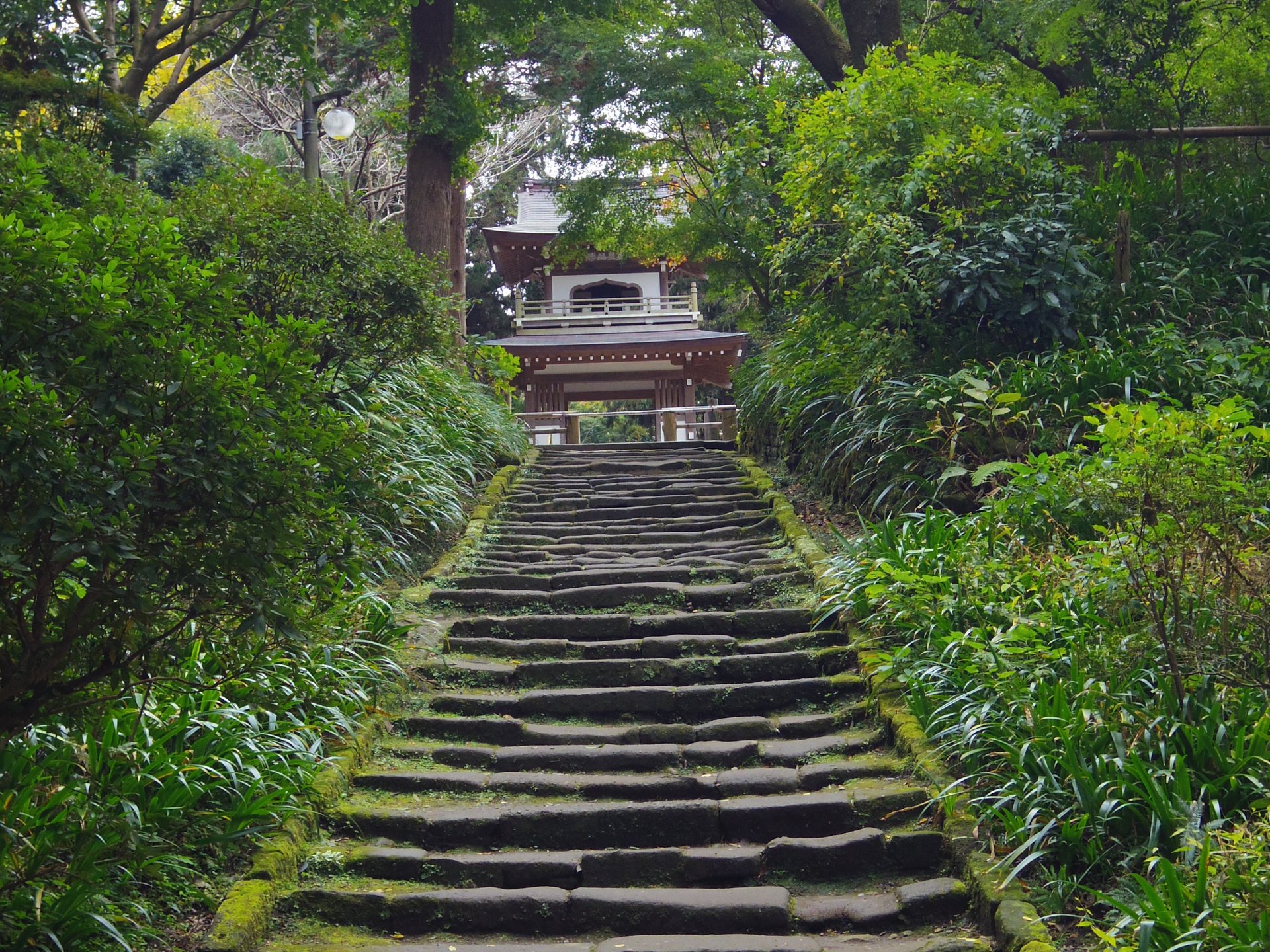 【鎌倉さんぽ】古都鎌倉を歩く！鎌倉七福神を回ってみよう♪「江島神社」から「浄智寺」へ♪