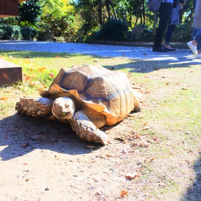 安城産業文化公園デンパーク