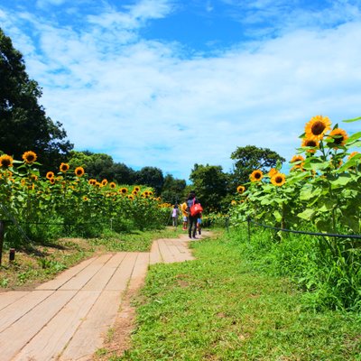 長居植物園