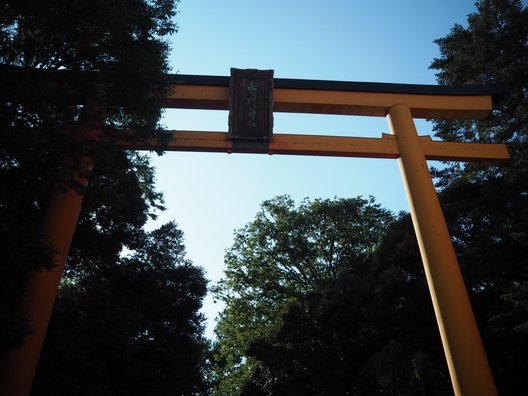 川越氷川神社