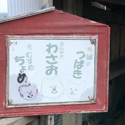 菊谷商店