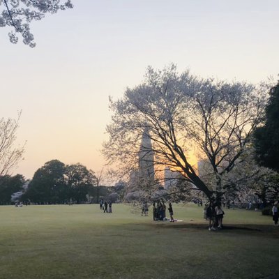 新宿御苑