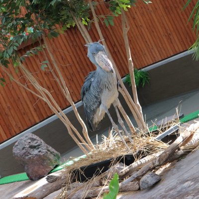 掛川花鳥園