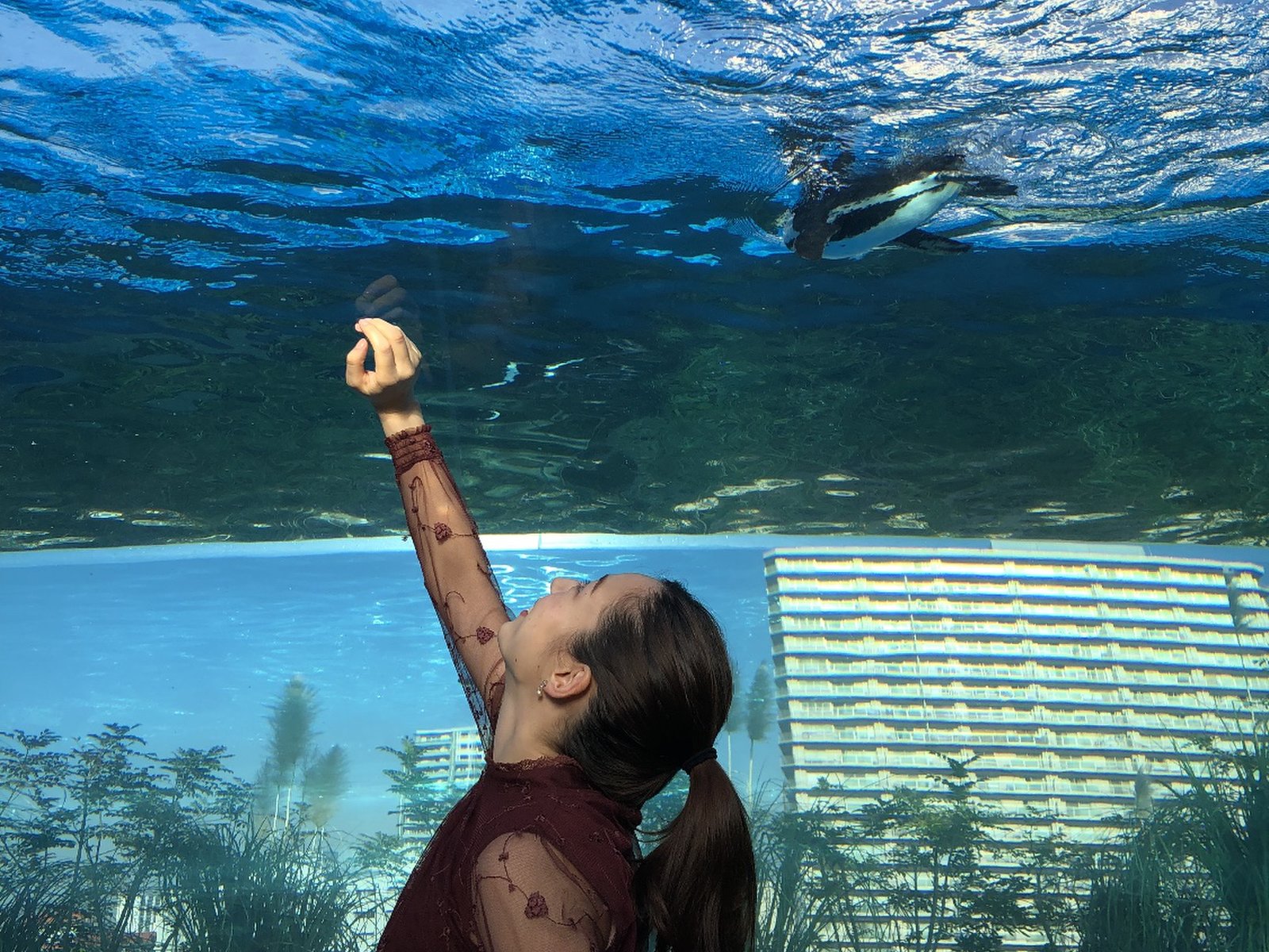 サンシャイン水族館