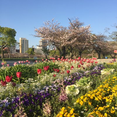 大濠公園