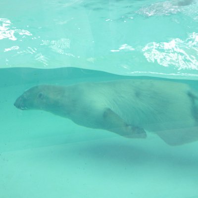 静岡市立日本平動物園レストハウス