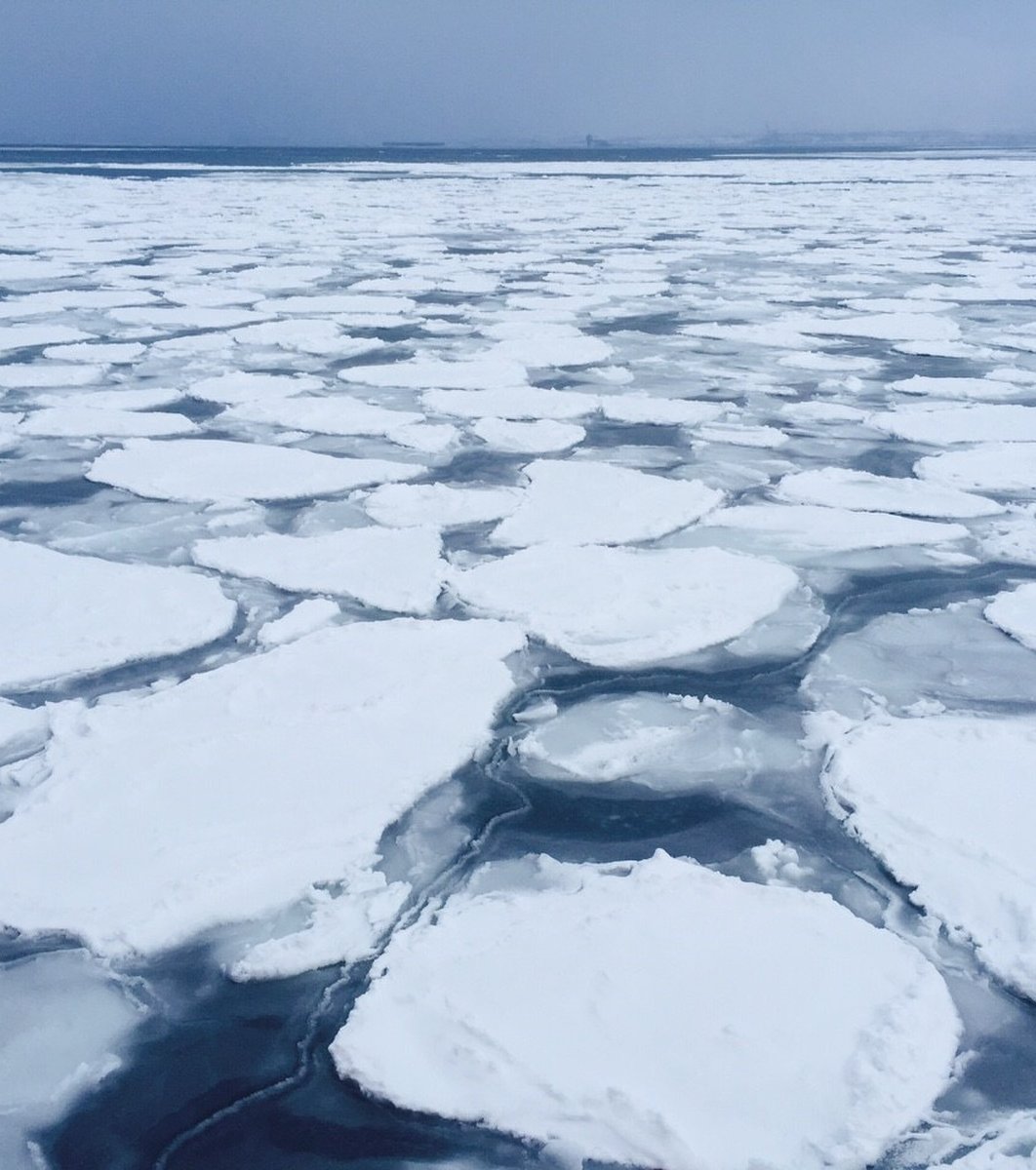 流氷砕氷船 ガリンコ号II