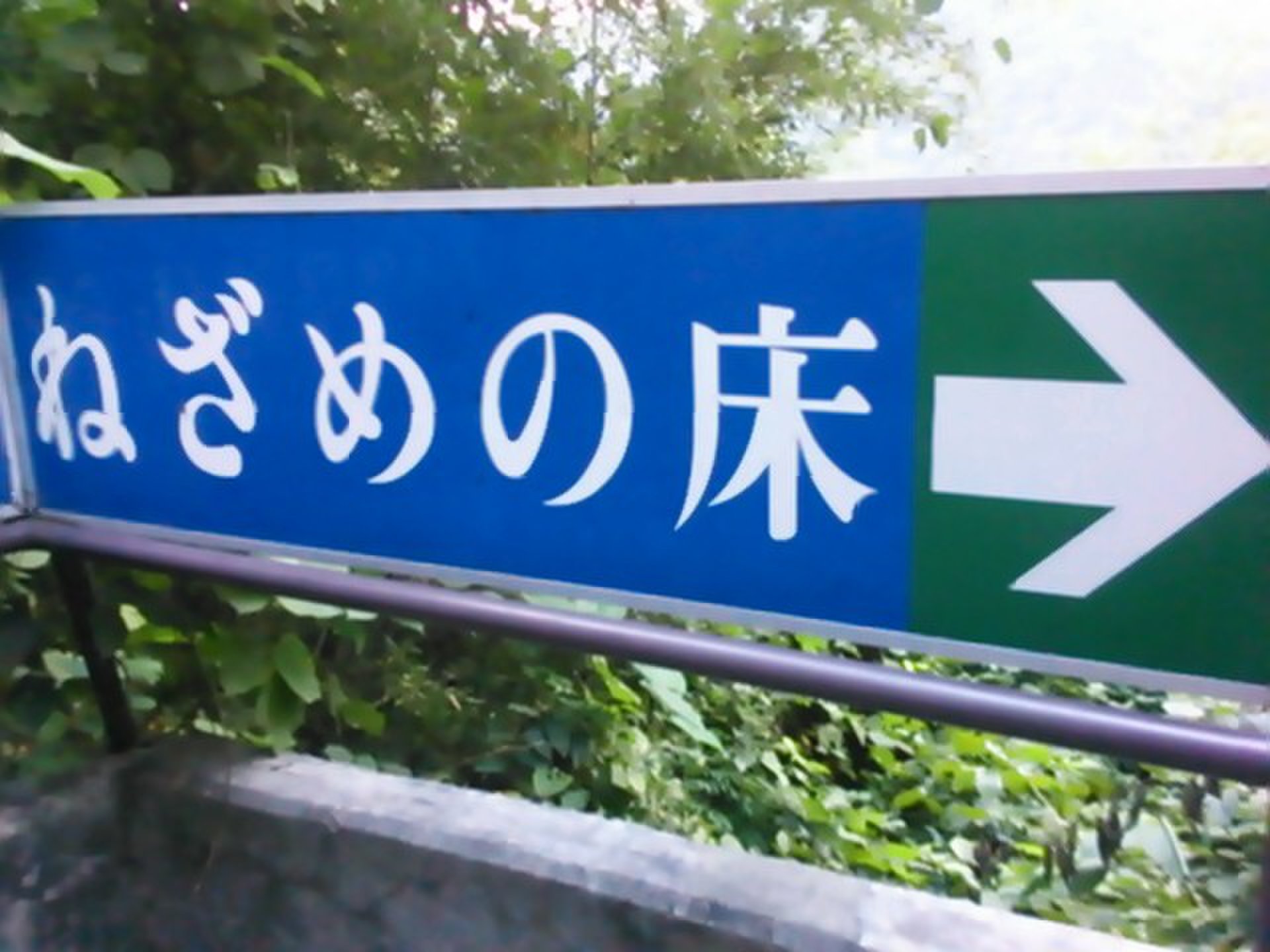 美しい名勝！ねざめの床　浦島太郎が玉手箱をあけて眠りから覚めた？？絶景奇岩へ