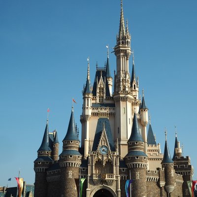 東京ディズニーランド(c)