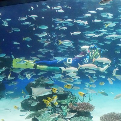 サンシャイン水族館