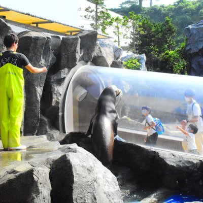 鳥羽水族館