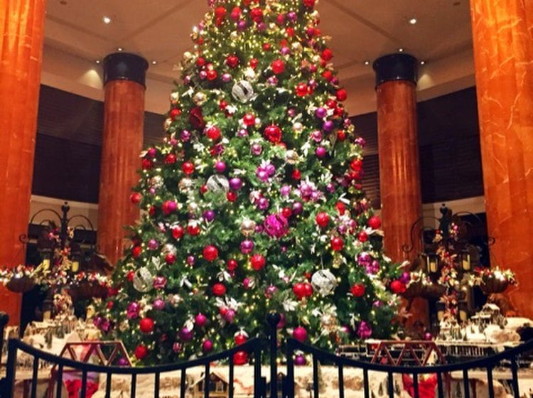 ウェスティンホテル東京のバーでクリスマス女子会 大きなクリスマスツリーにテンションが上がる夜 Playlife プレイライフ