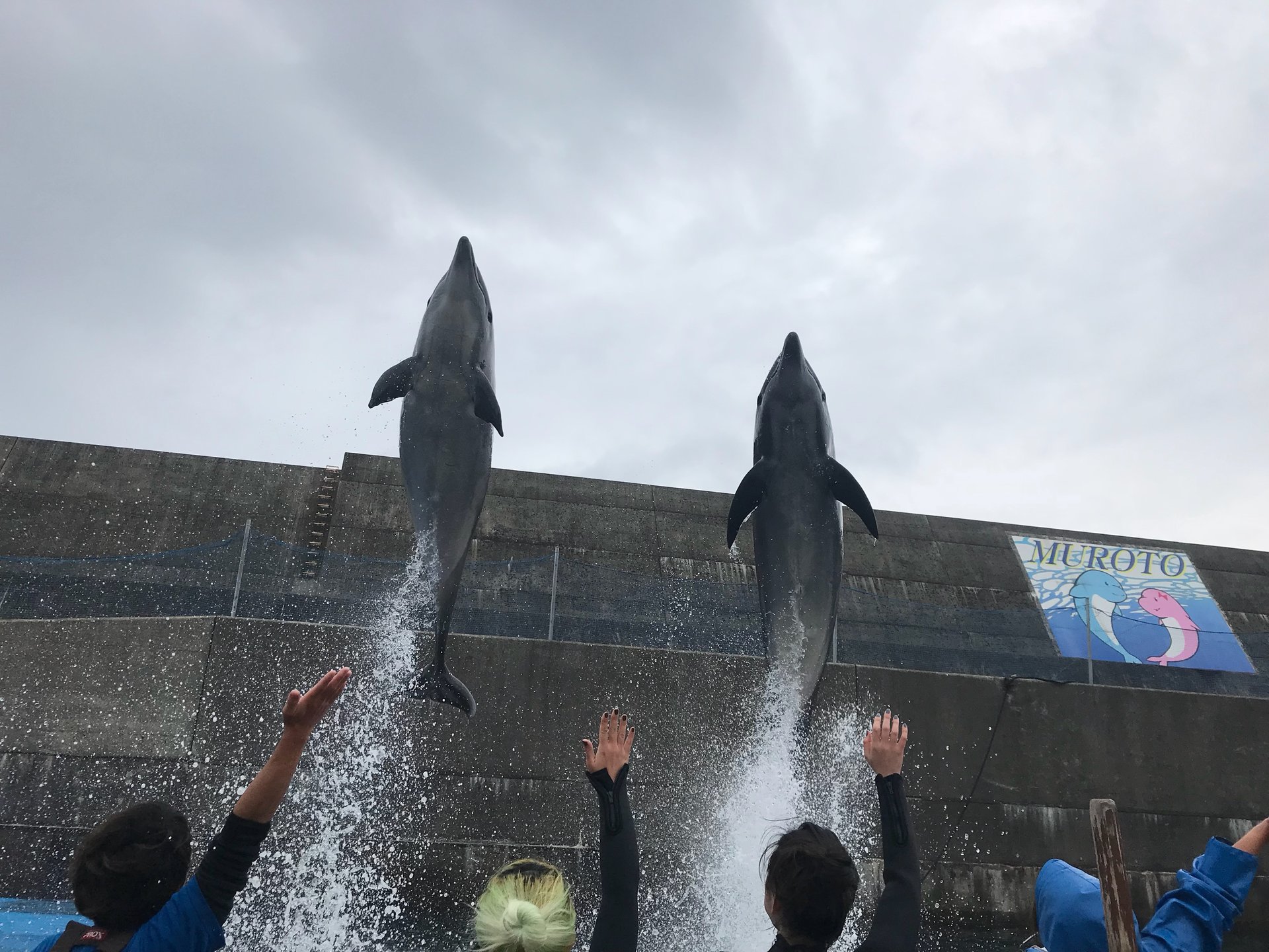 高知県室戸観光♪ドルフィンセンターでイルカと泳いで、パワースポットを巡る旅！