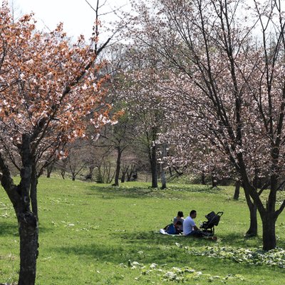 奈井江町にわ山森林自然公園