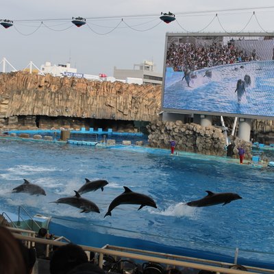 名古屋港水族館