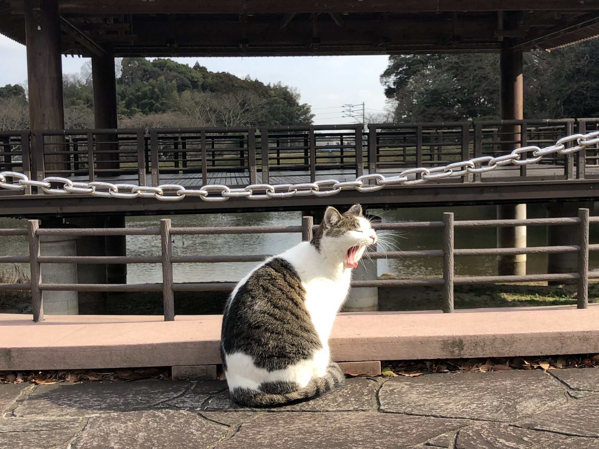 天拝山歴史自然公園