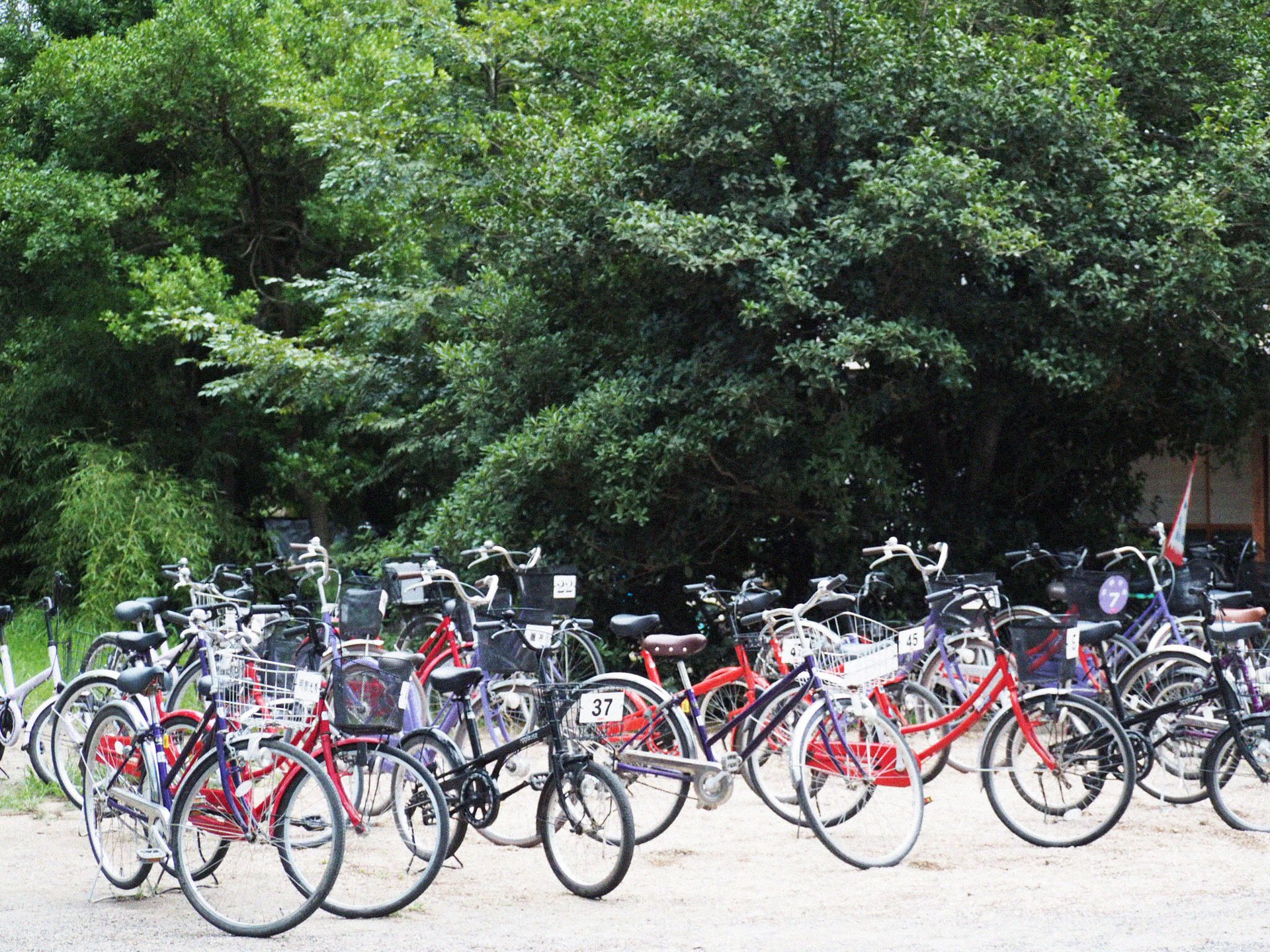 天橋立公園多目的広場