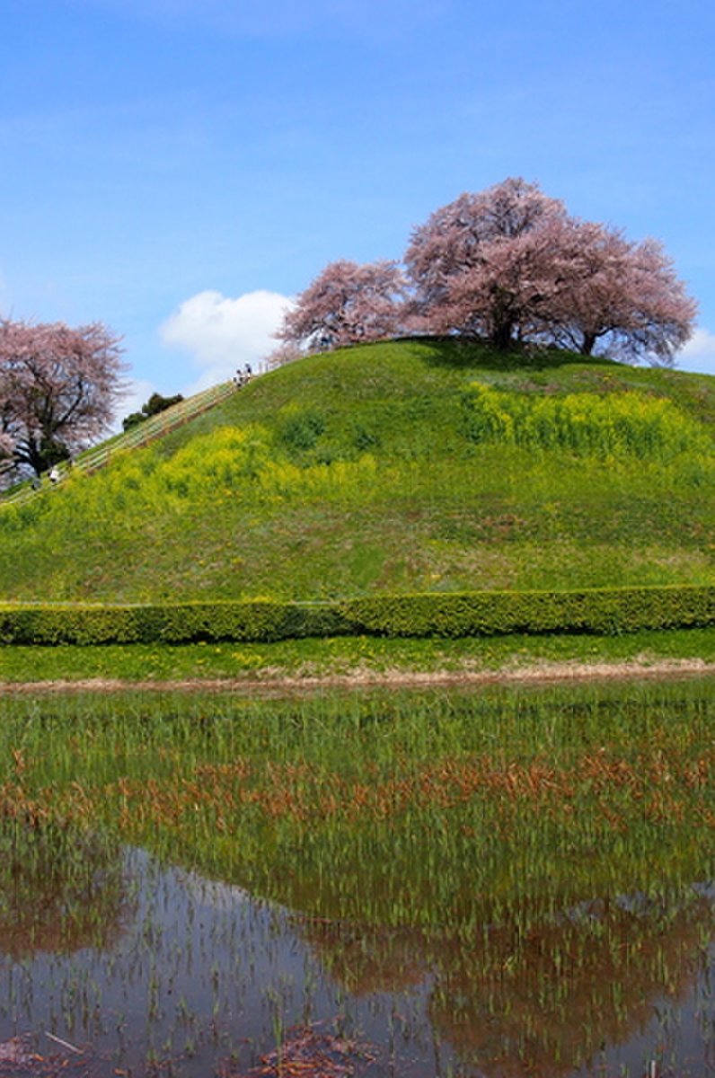 さきたま古墳公園