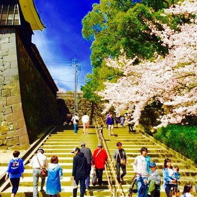 松江城 (千鳥城)