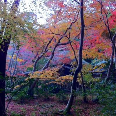 祇王寺