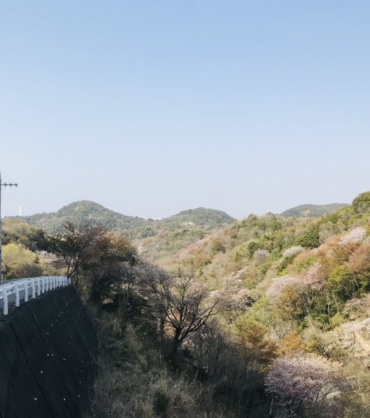 根来寺