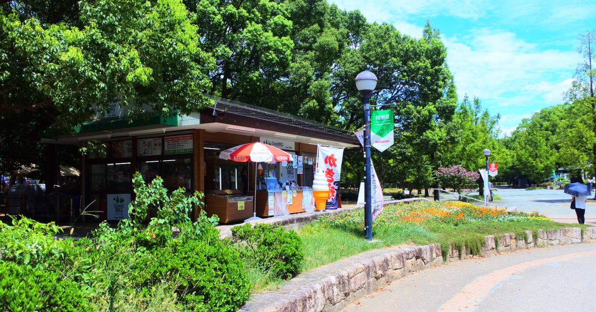 関西景色のいいカフェに選ばれた 長居公園に咲くひまわり畑と穴場カフェで過ごす最高のなつやすみ Playlife プレイライフ