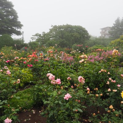 箱根強羅公園