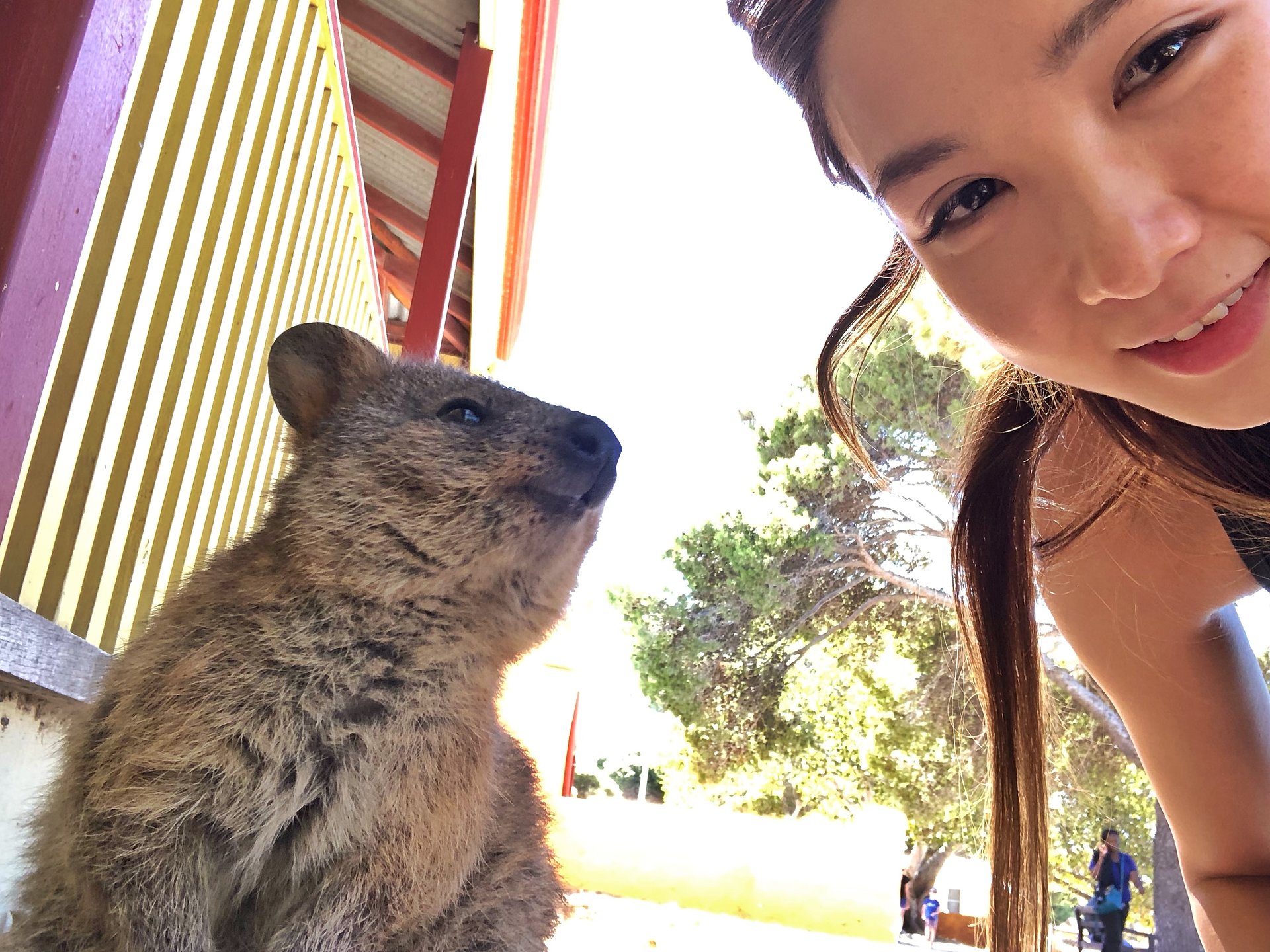 世界一幸せな動物『クオッカ』に逢いに西オーストラリア・パースへ
