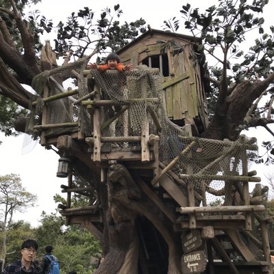 東京ディズニーランド(c)