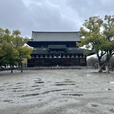 東寺(教王護国寺)