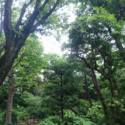 角川庭園・幻戯山房（すぎなみ詩歌館）