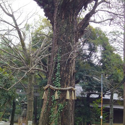 赤坂氷川神社