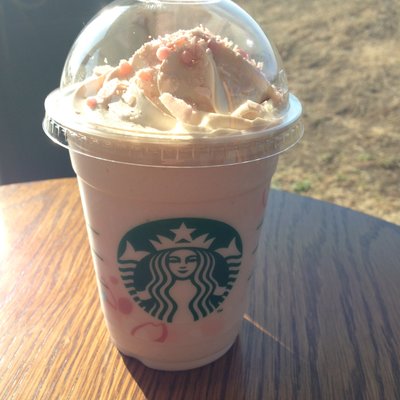 スターバックスコーヒー 二子玉川公園店