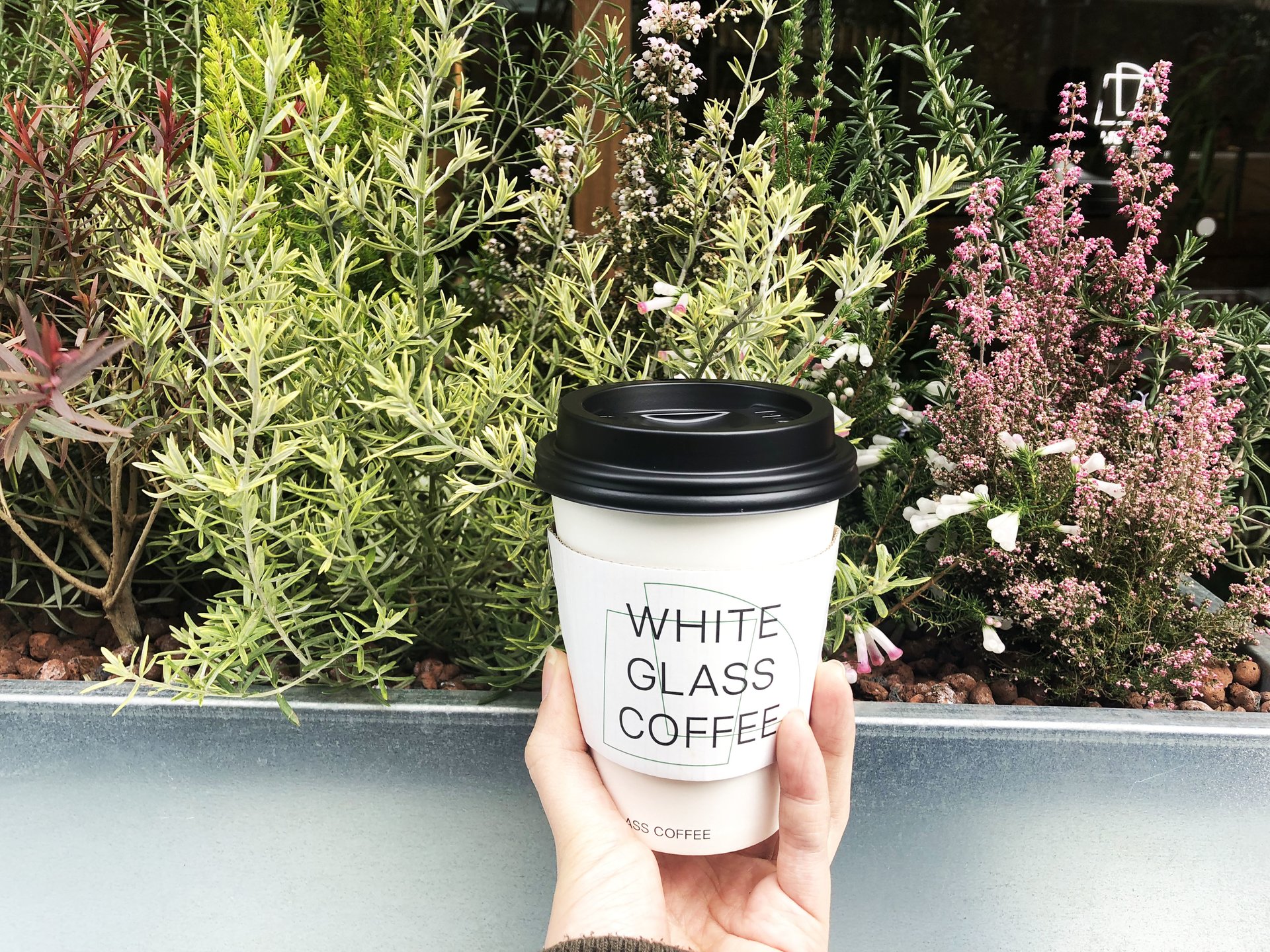 WHITE GLASS COFFEE（ホワイト グラス コーヒー ）