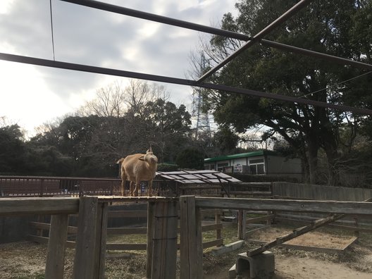 金沢動物園