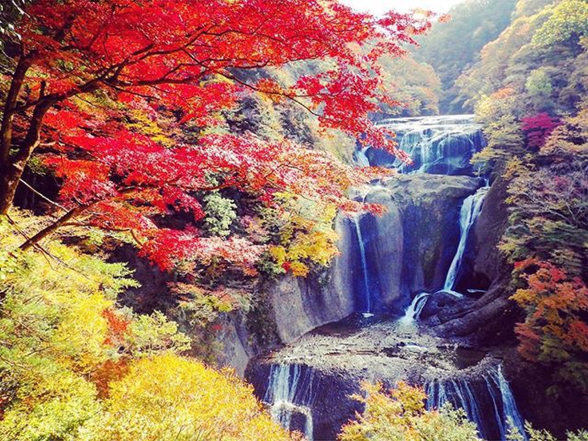 GoToトラベルにおすすめ！茨城紅葉名所「袋田の滝」の完全ガイド