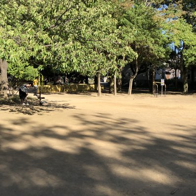 薬円台公園